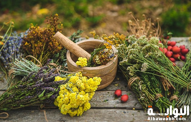 محاذير الأعشاب: الأعشاب الضارة والتحذيرات الهامة قبل الاستخدام