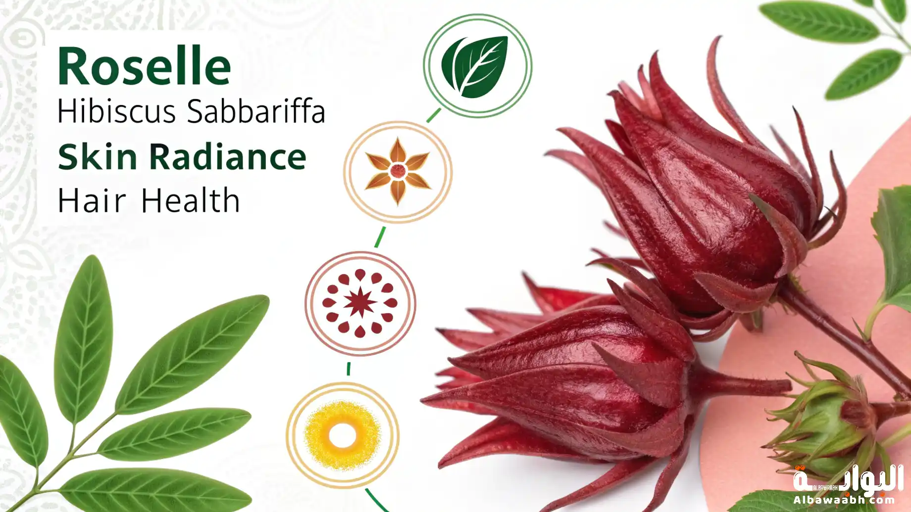 إكليل الجبل