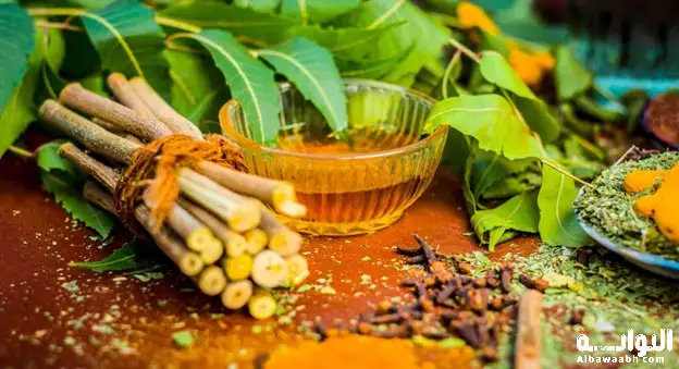 أعشاب الجهاز البولي لعلاج التهابات المسالك البولية بالأعشاب