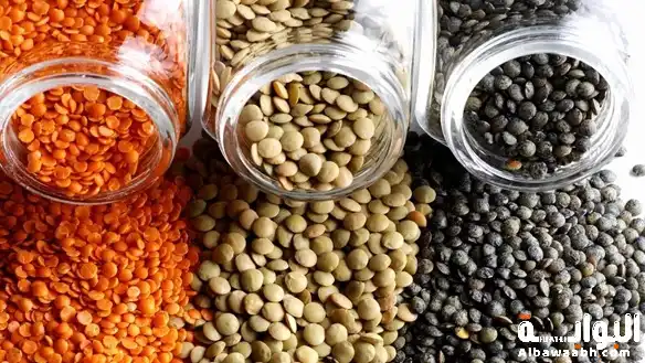 العدس: طاقة الفقراء وصحة الأغنياء