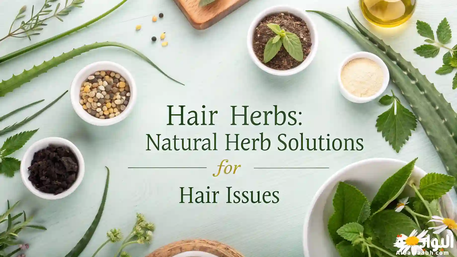 أعشاب الشعر