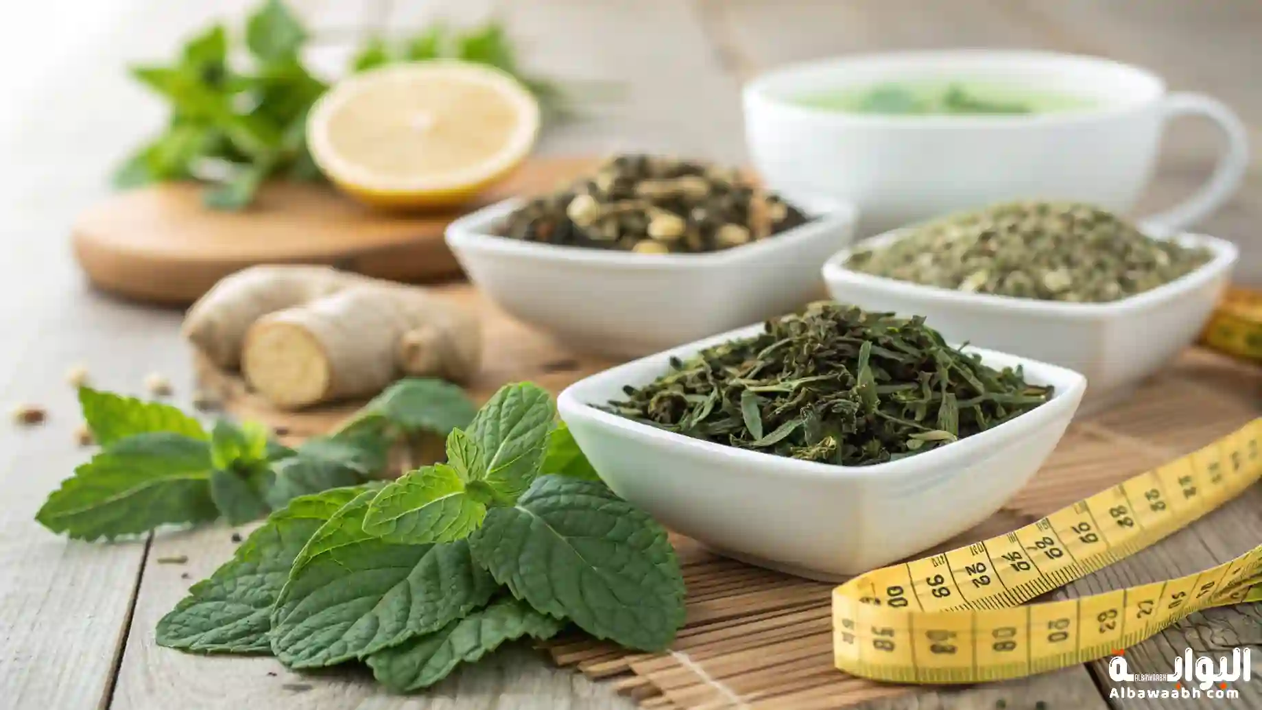 أعشاب التخسيس