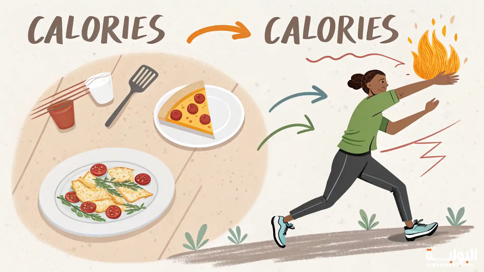 أساسيات السعرات الحرارية: دليل المبتدئين الشامل