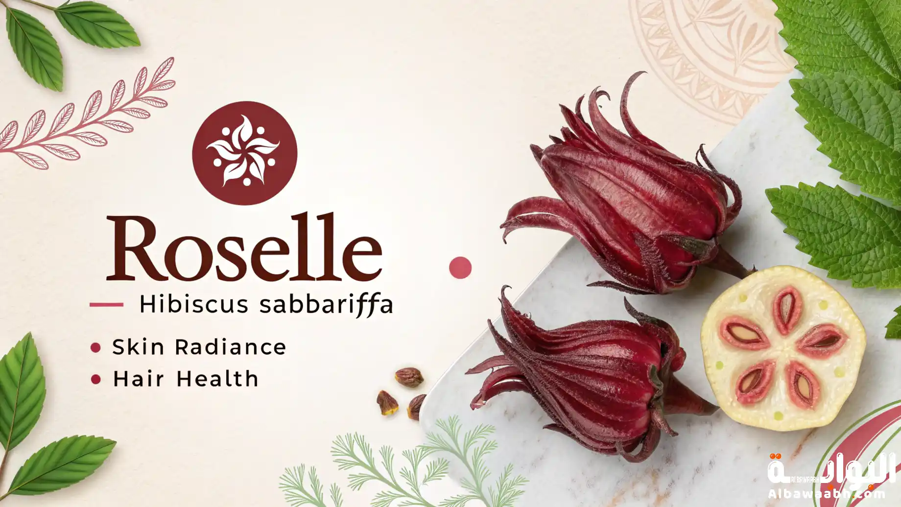 إكليل الجبل