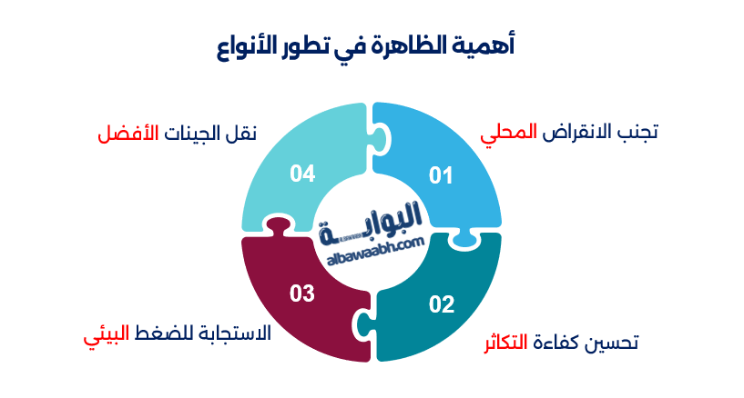 الحيوانات التي تغير جنسها