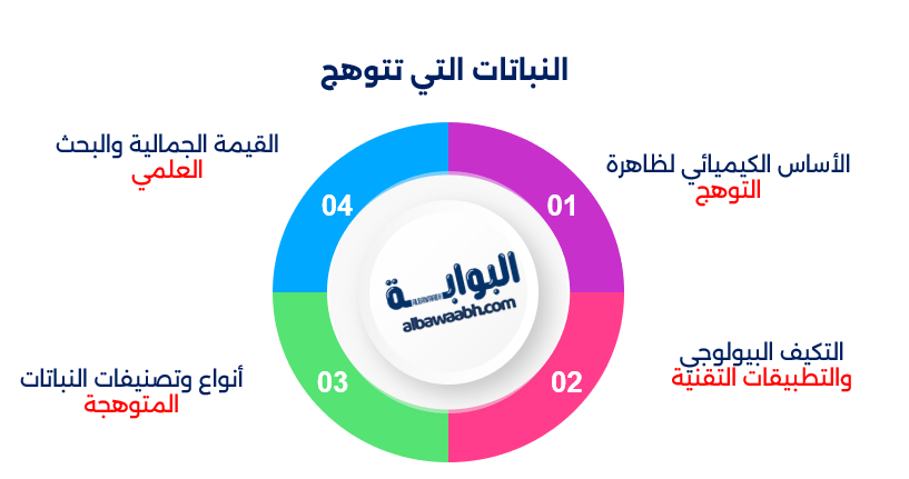 النباتات التي تتوهج في الظلام