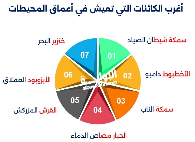 أغرب الكائنات التي تعيش في أعماق المحيطات