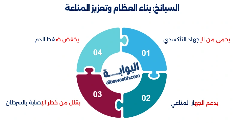 الورقيات الخضراء