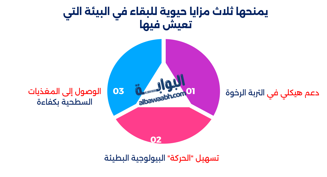 النباتات التي “تمشي”