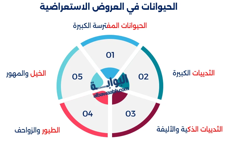 الرياضة والحيوانات