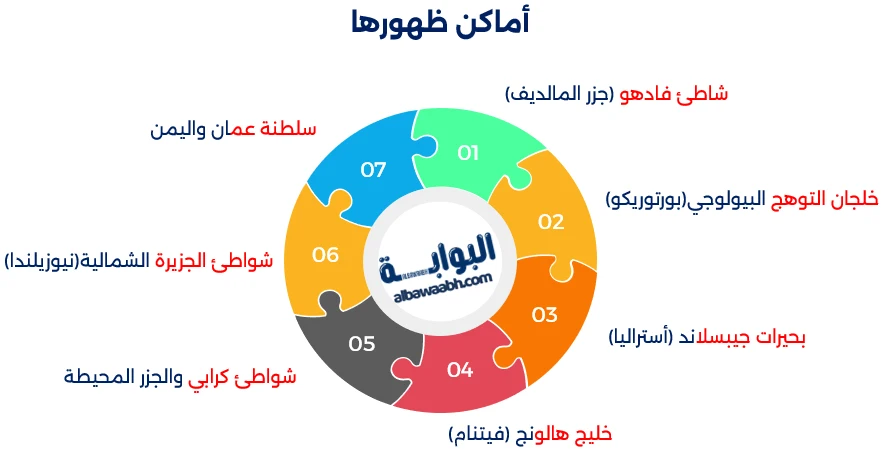 الضوء الأزرق في البحر