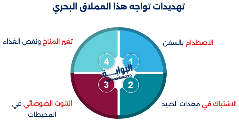 الحوت الأزرق