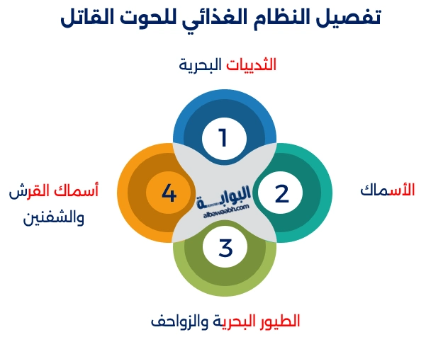 الحوت القاتل