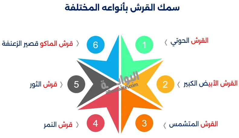أنواع الأسماك المفترسة