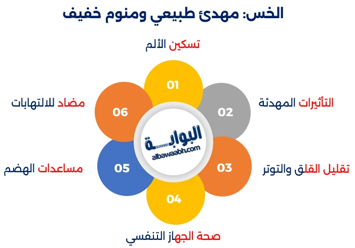 الورقيات الخضراء
