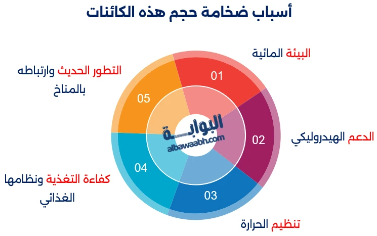 أضخم الحيتان في التاريخ
