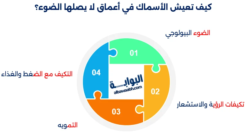 الأسماك العميقة