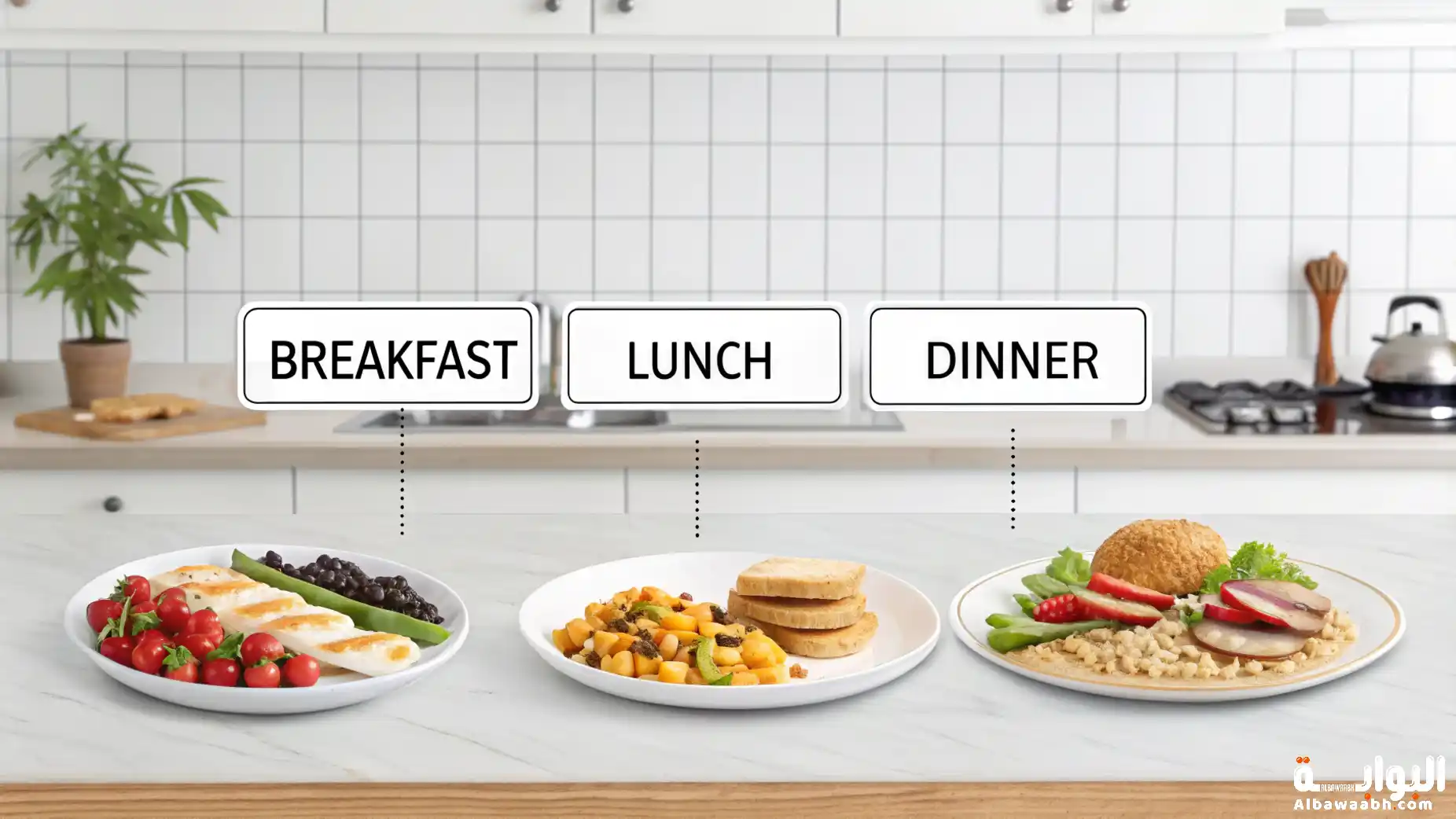 الوجبات الرئيسية