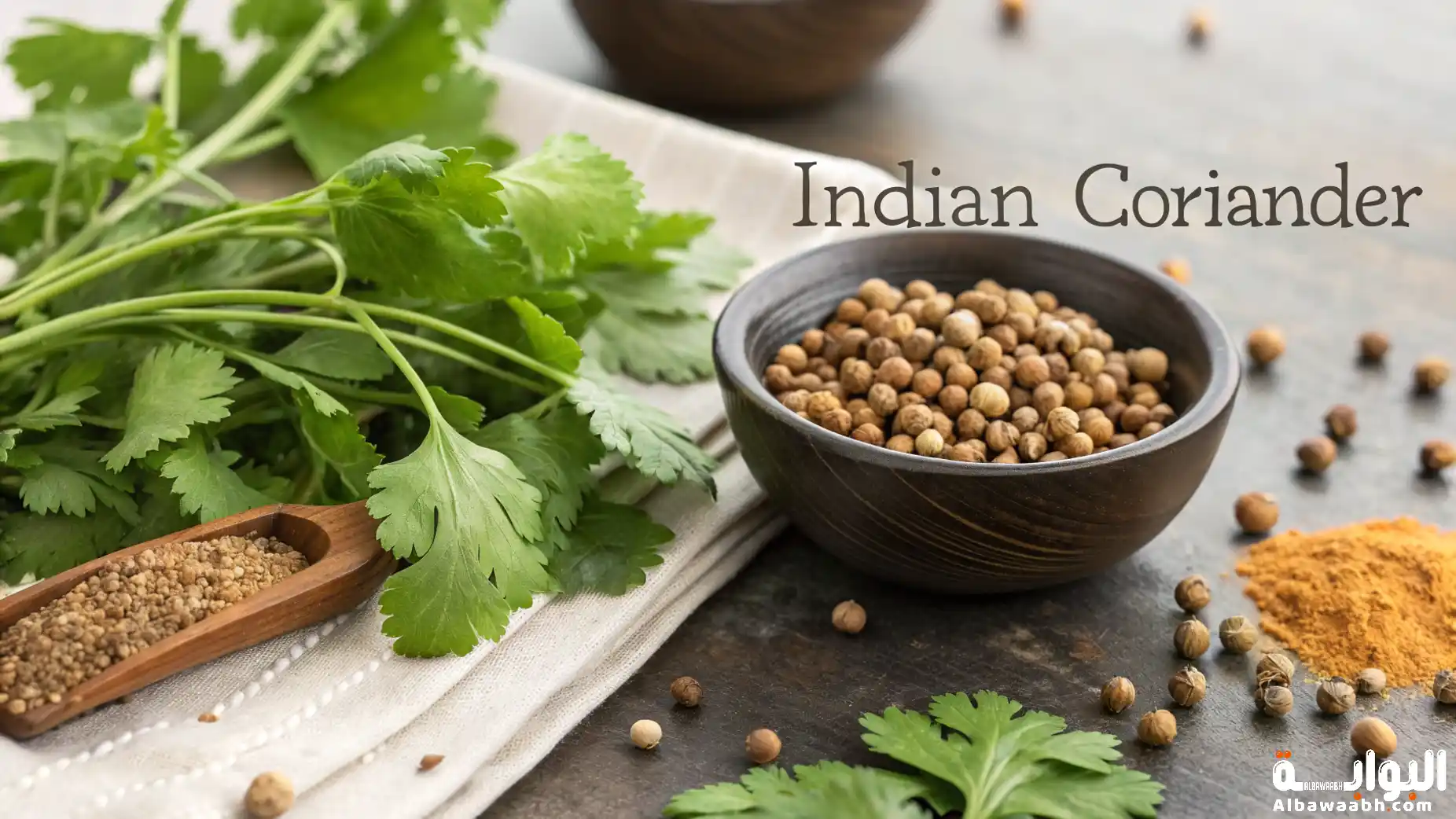 طريقة استخدام القسط الهندي