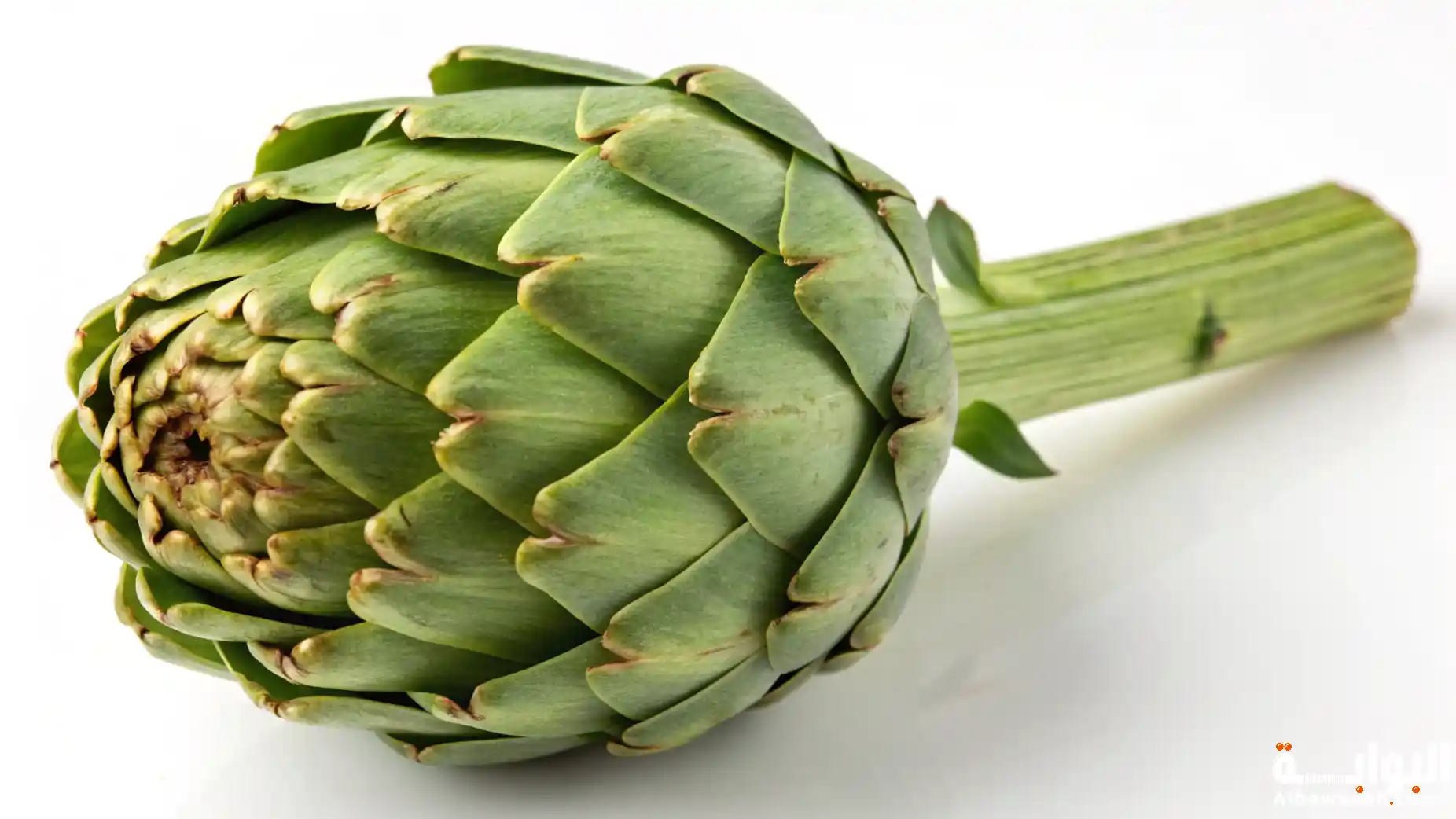 فوائد الخرشوف