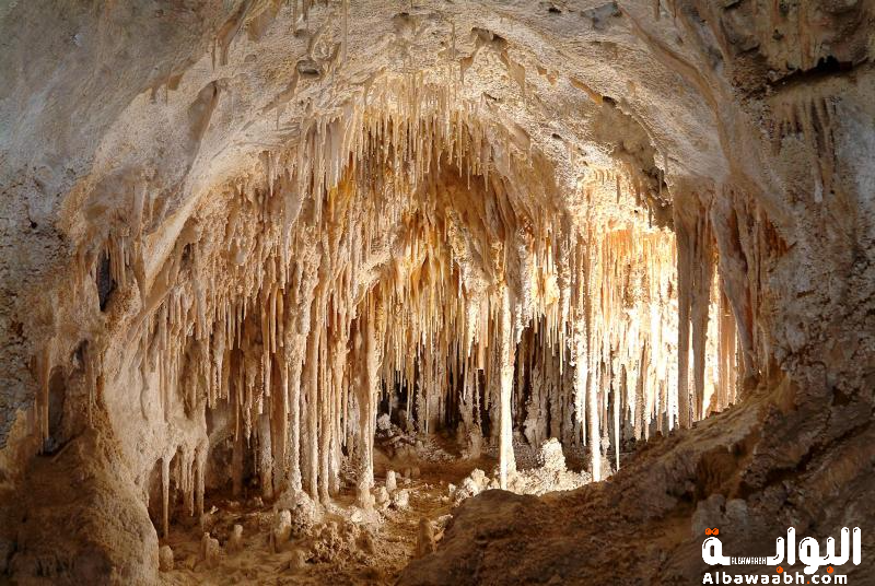 الصخور التي تنمو