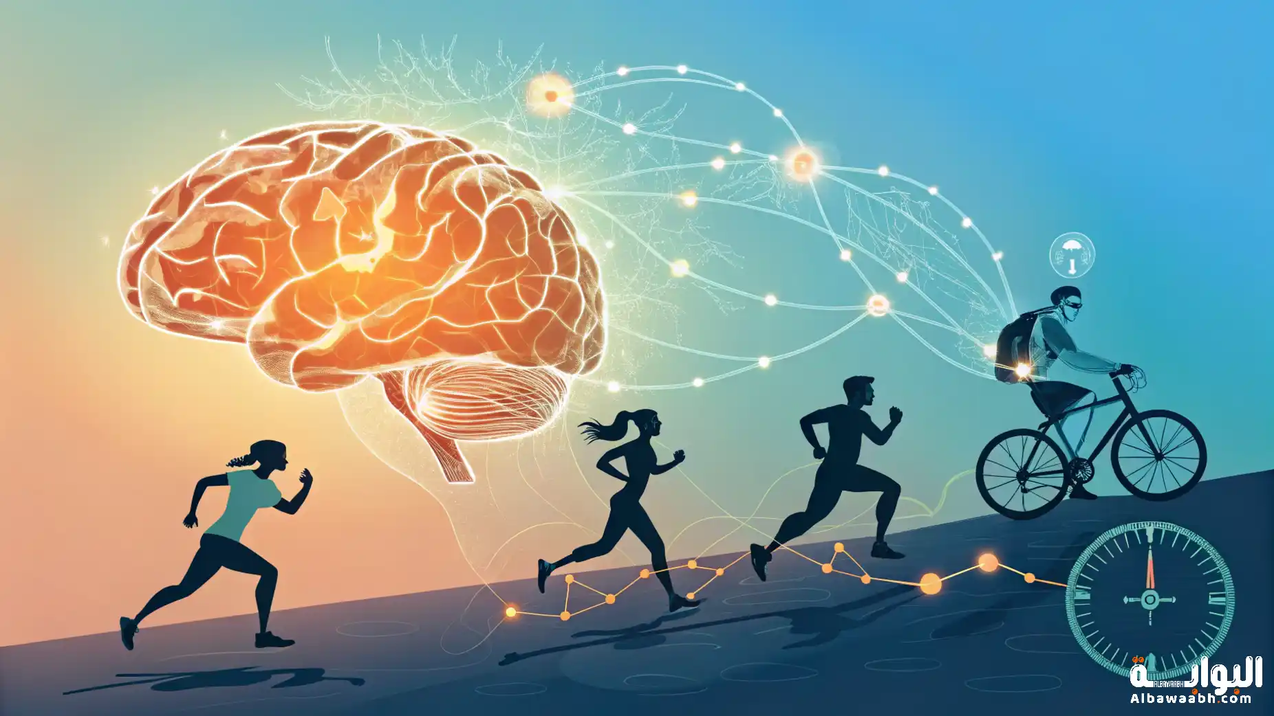 الرياضة والذاكرة