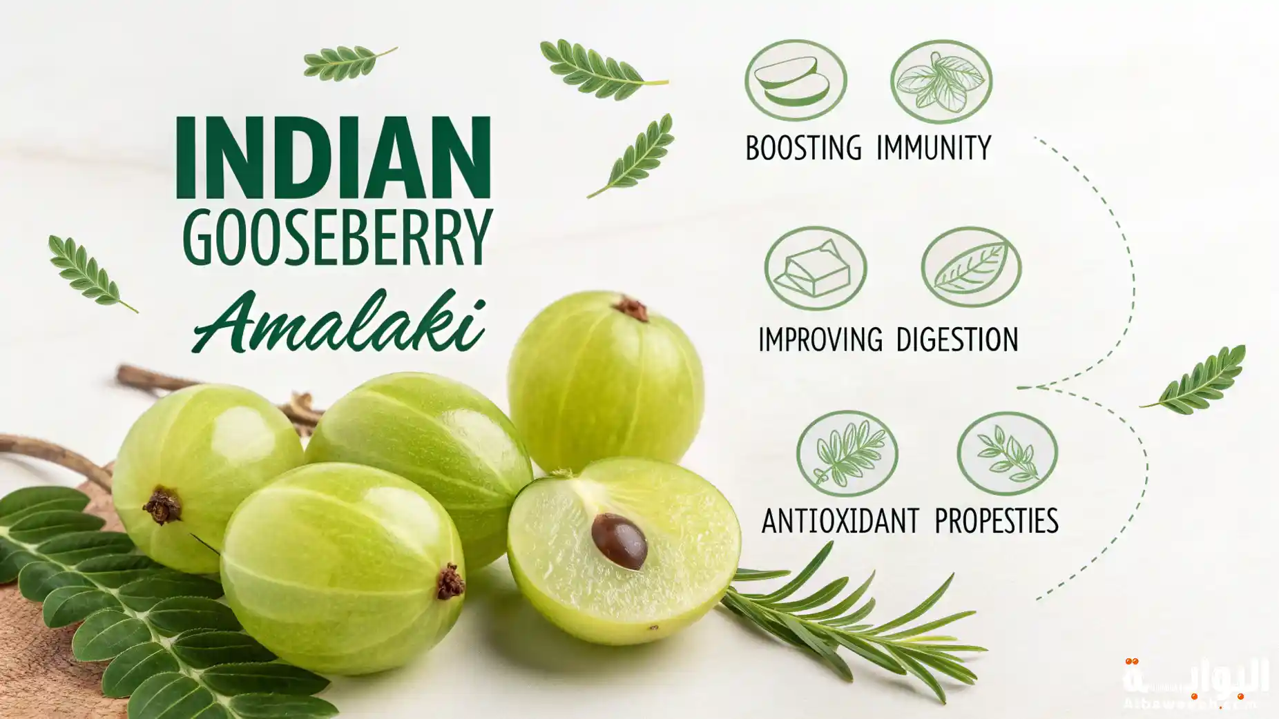 طريقة استخدام القسط الهندي