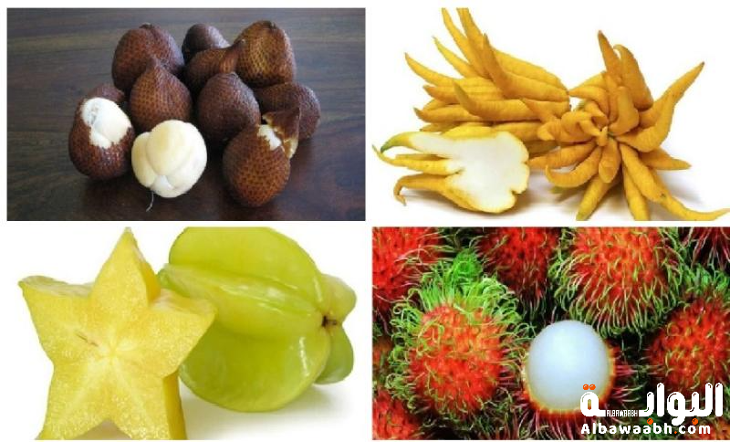 أغرب الفواكه في العالم