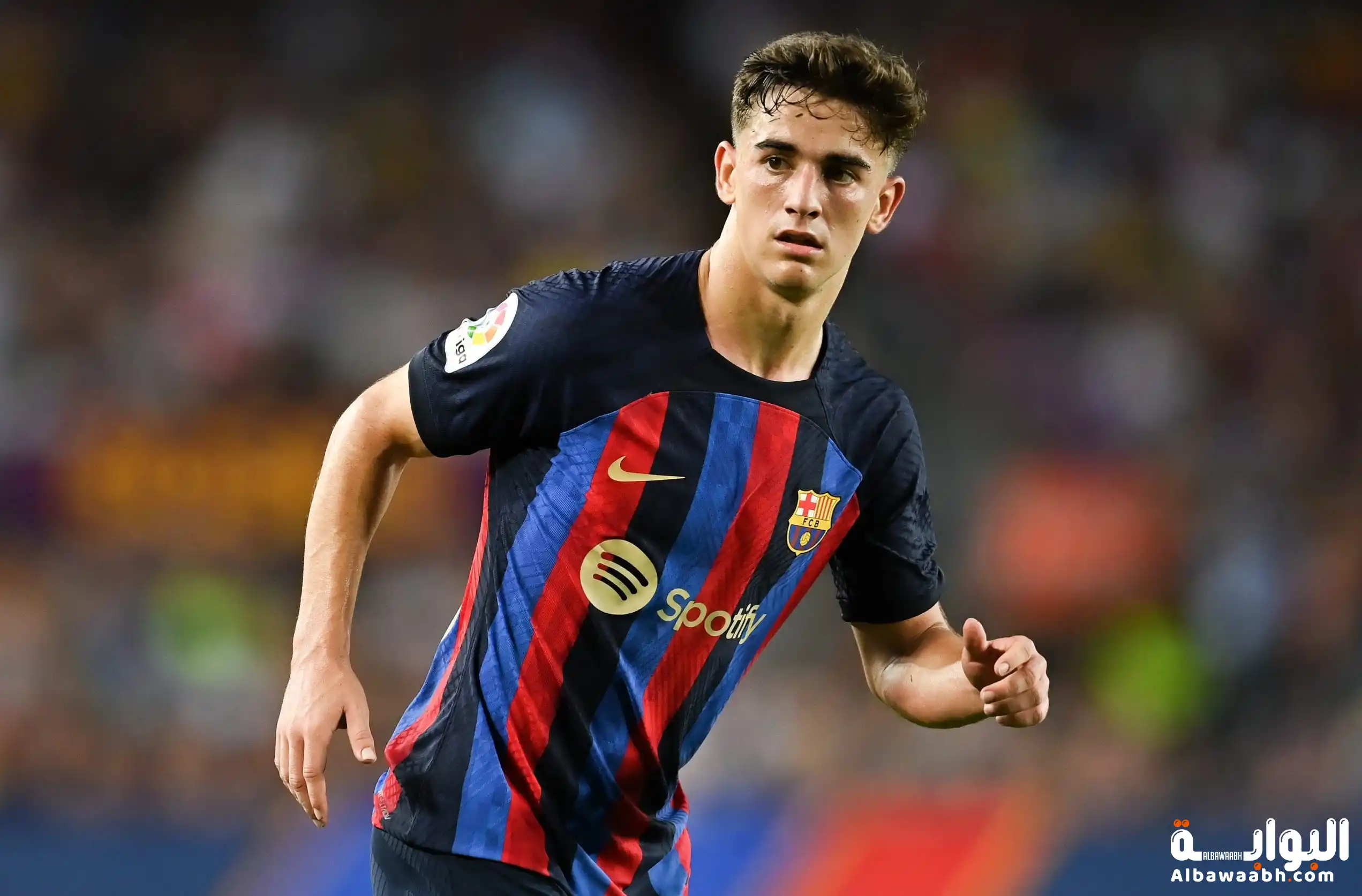 من هو جافي؟