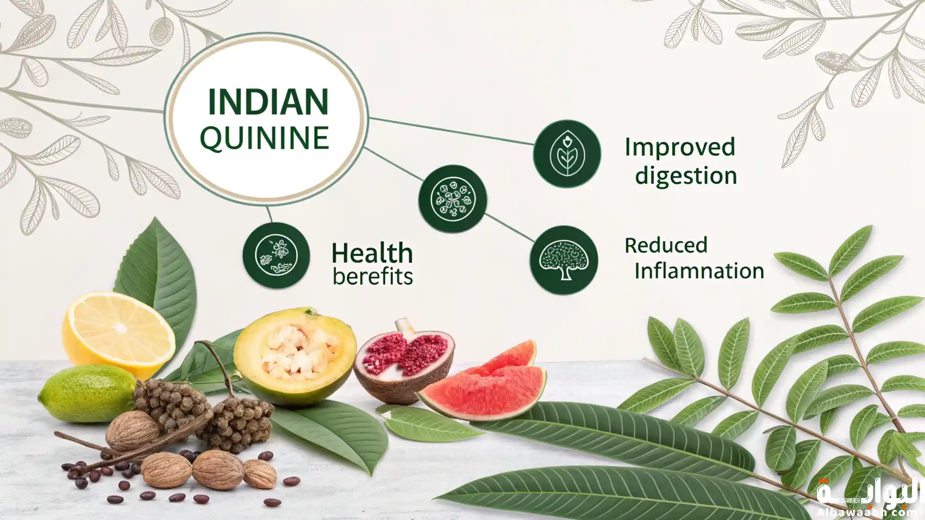 طريقة استخدام القسط الهندي