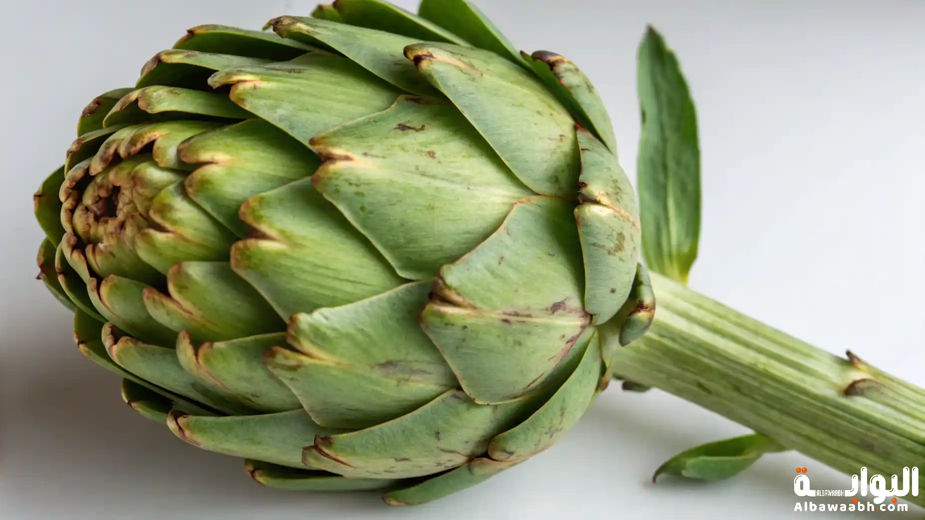 فوائد الخرشوف