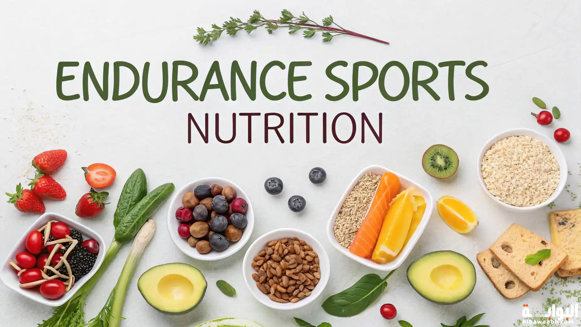 تغذية رياضات التحمل