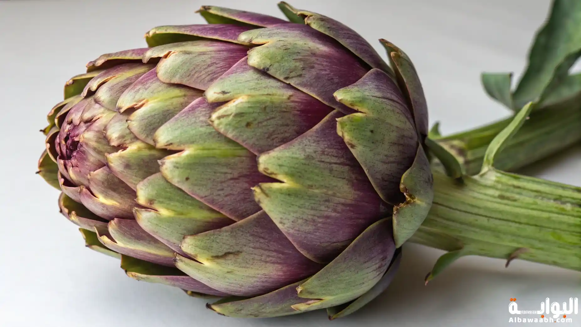 فوائد الخرشوف