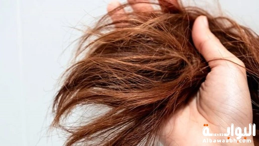 أنواع بروتين الشعر