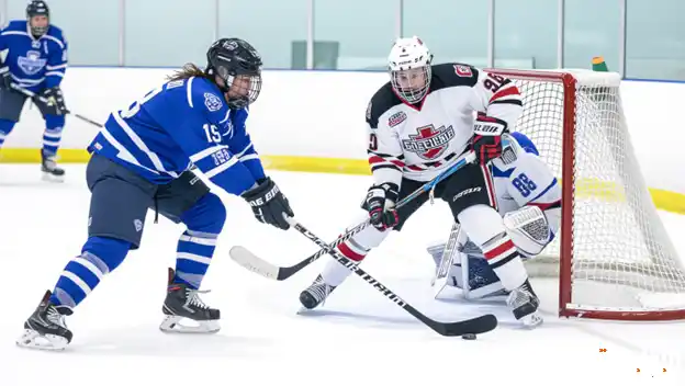 رياضة الهوكي: سرعة على الجليد