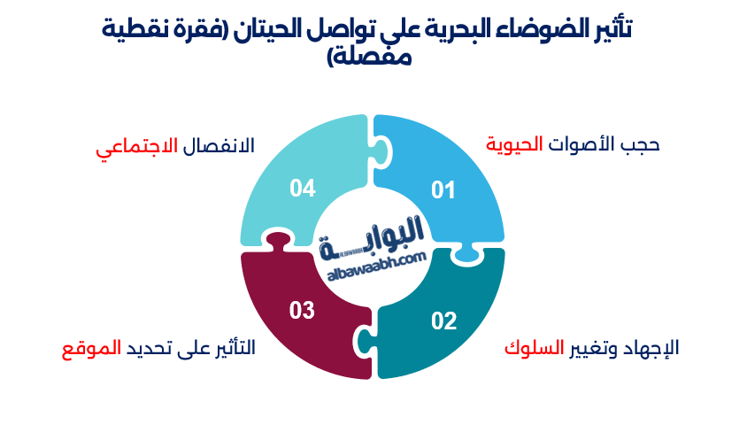 أصوات الحيتان