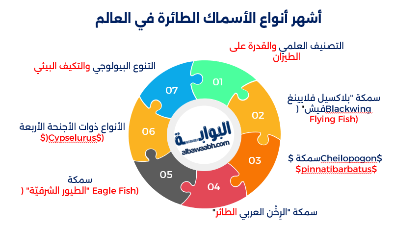 الأسماك الطائرة 