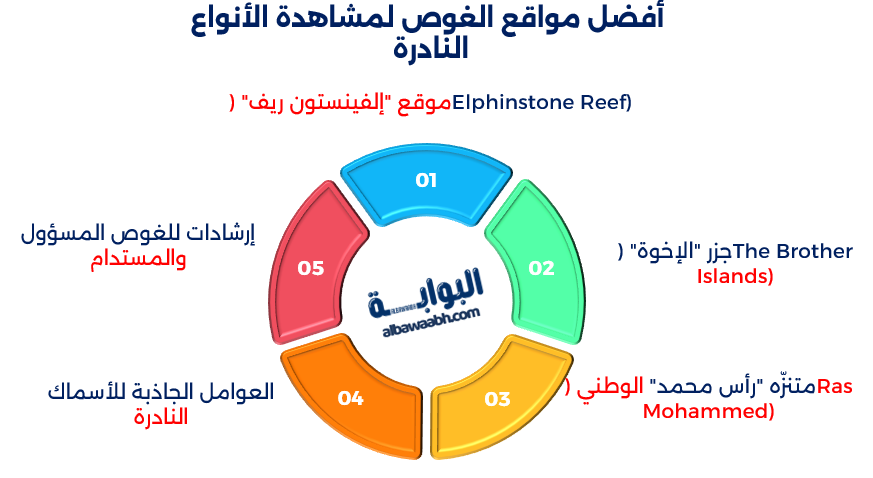 الأسماك النادرة في البحر الأحمر