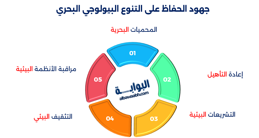 أهمية الأسماك في الحفاظ على النظام البيئي
