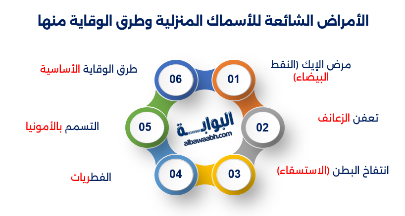 تربية الأسماك