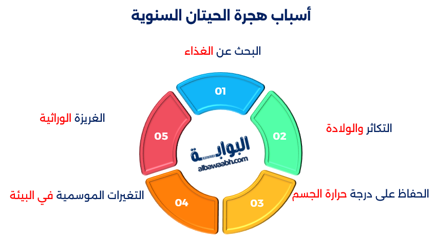 هجرة الحيتان لمسافات طويلة
