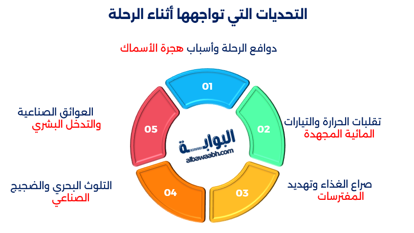 هجرة الأسماك