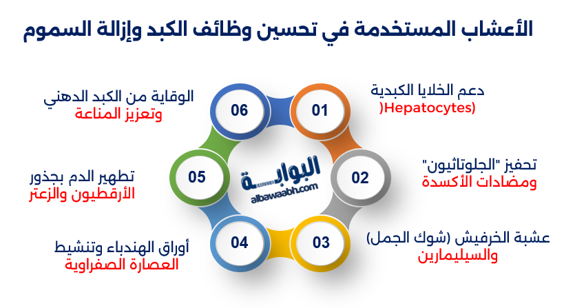 علاج أمراض الكبد وتنظيف الجسم بالأعشاب