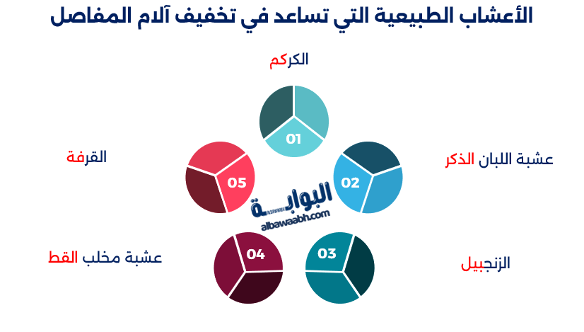 علاج آلام المفاصل والروماتيزم بالأعشاب