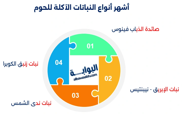 نباتات مفترسة حقيقية