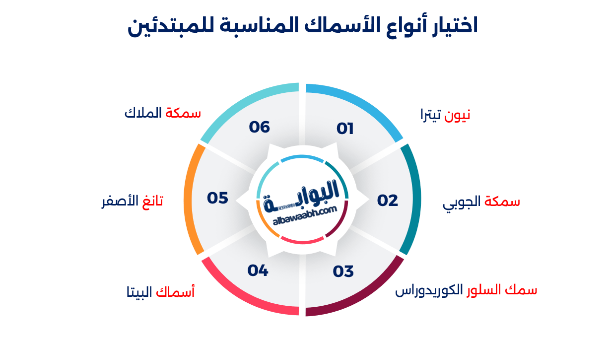 أسماك الزينة