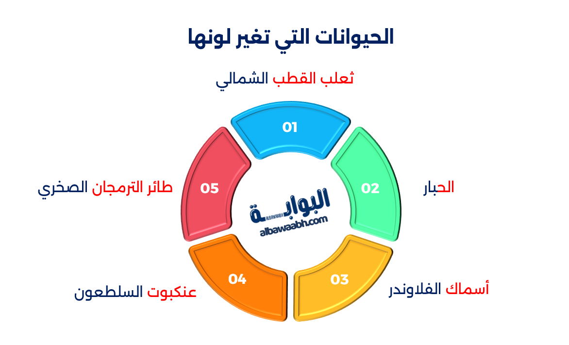 الحيوانات التي تغير لونها