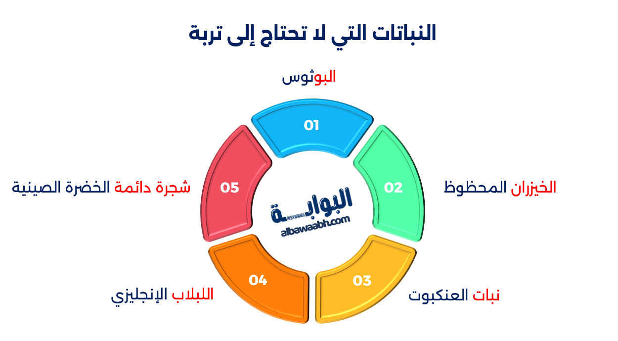 نباتات تعيش بدون تربة