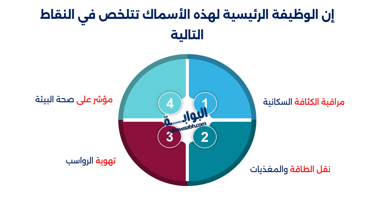 الأسماك المسطحة