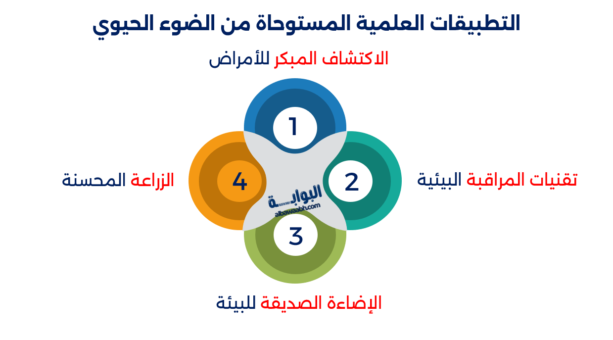 الأسماك المضيئة